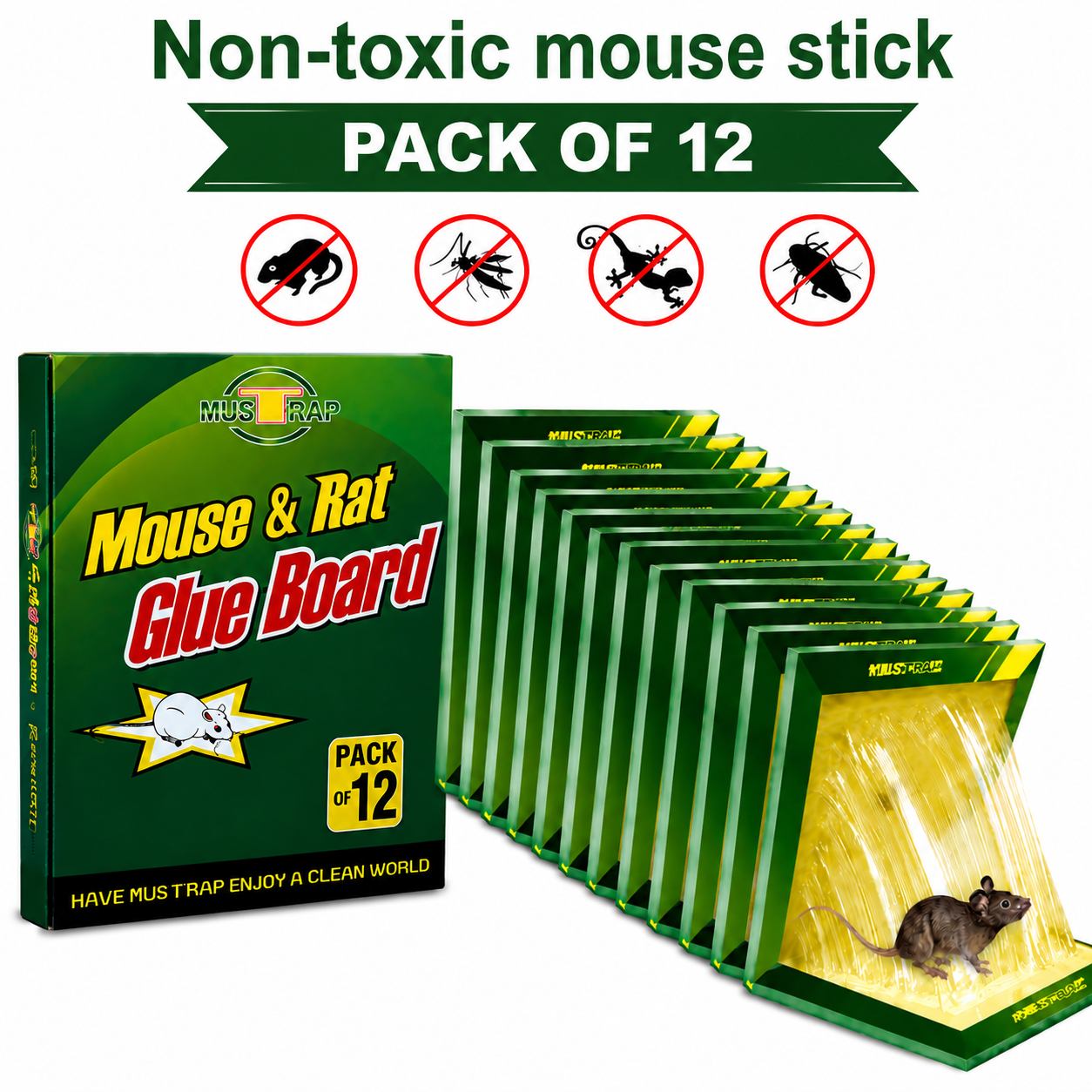 Non-Toxic Mouse Glue Trap | Strong Adhesive Mouse & Rat Glue Board